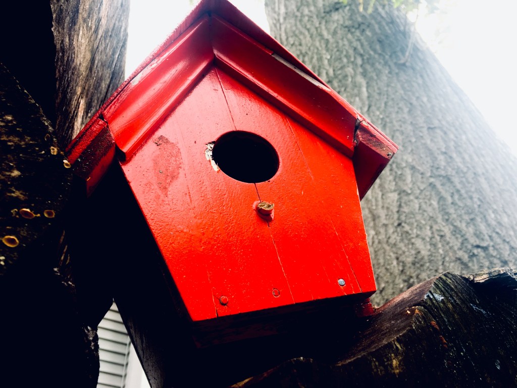 Even a bird house…