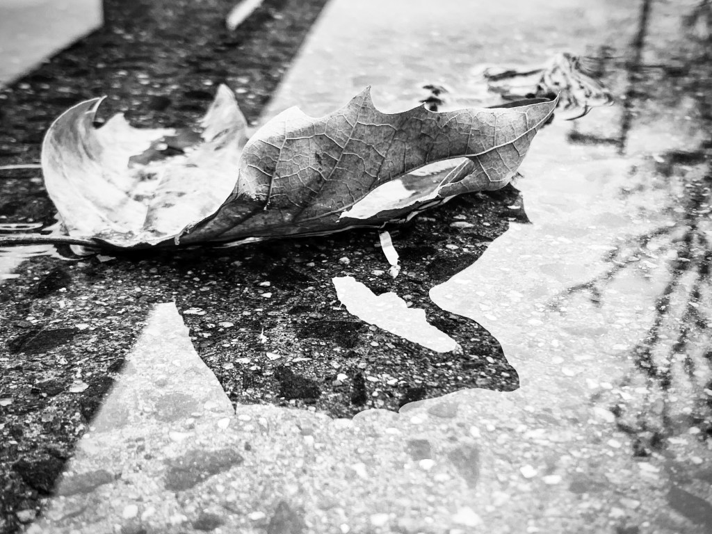 Walk on a rainy&nbsp;day