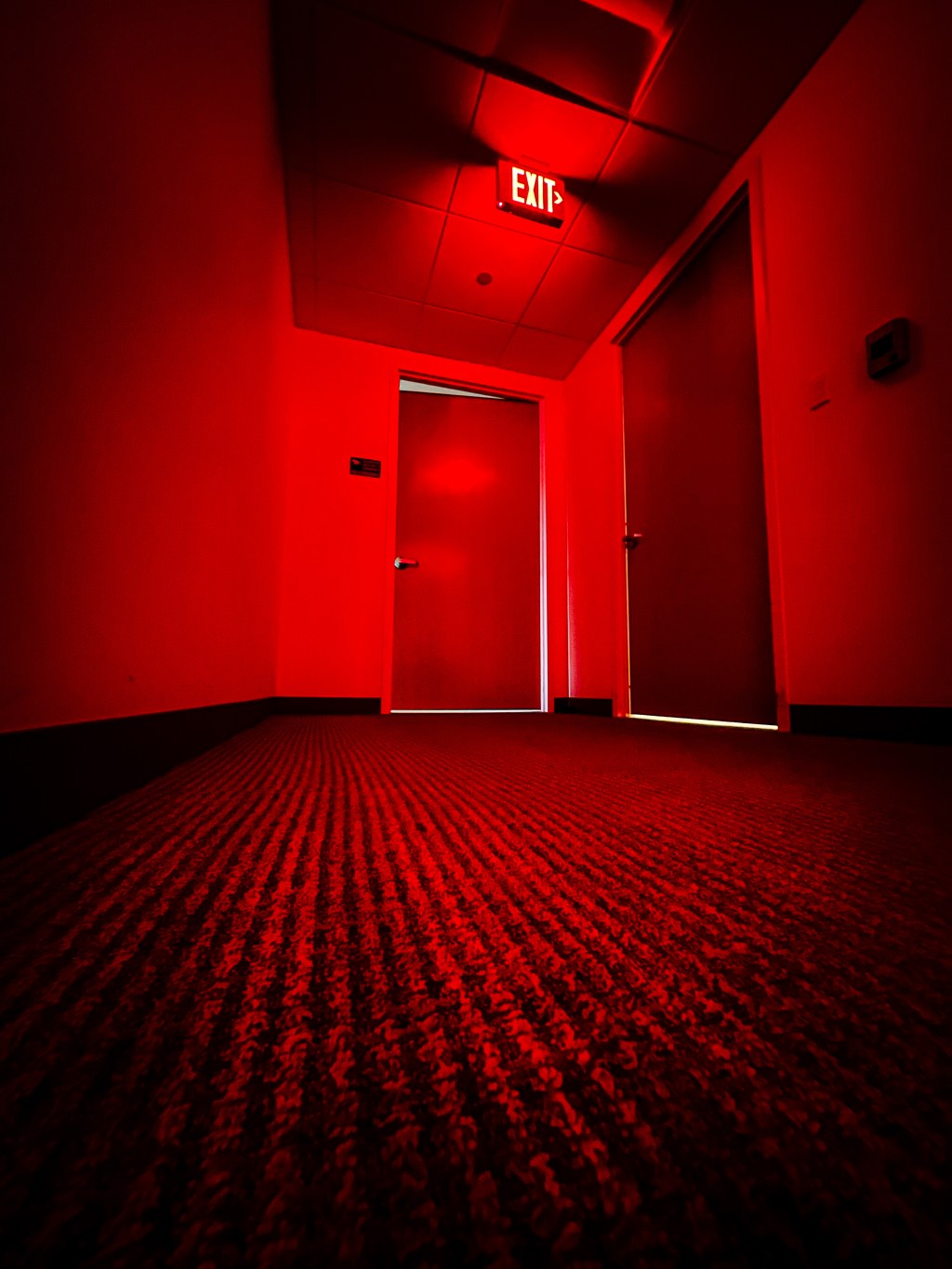 Red Egress