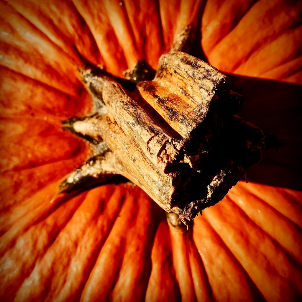 It’s about that time,&nbsp;no?