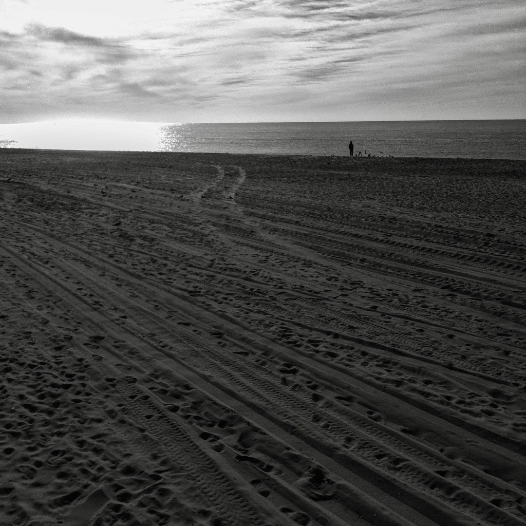 Shadows on a&nbsp;beach
