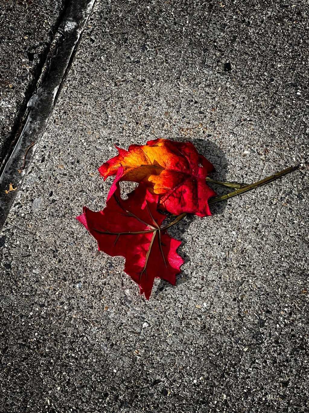 Red on a Gray Sidewalk